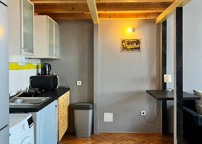 公寓 Twin Danube Lofts By Chain Bridge *