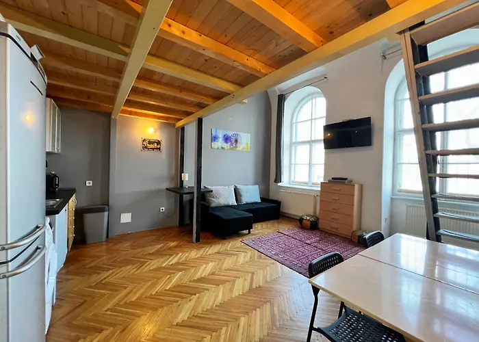 Twin Danube Lofts By Chain Bridge 公寓 布达佩斯